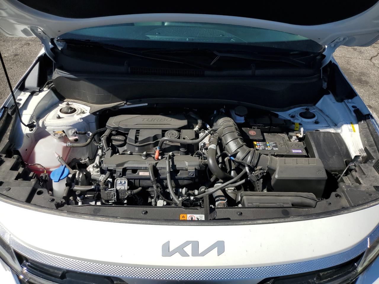 2024 Kia Seltos Sx VIN: KNDETCA74R7607324 Lot: 84633735
