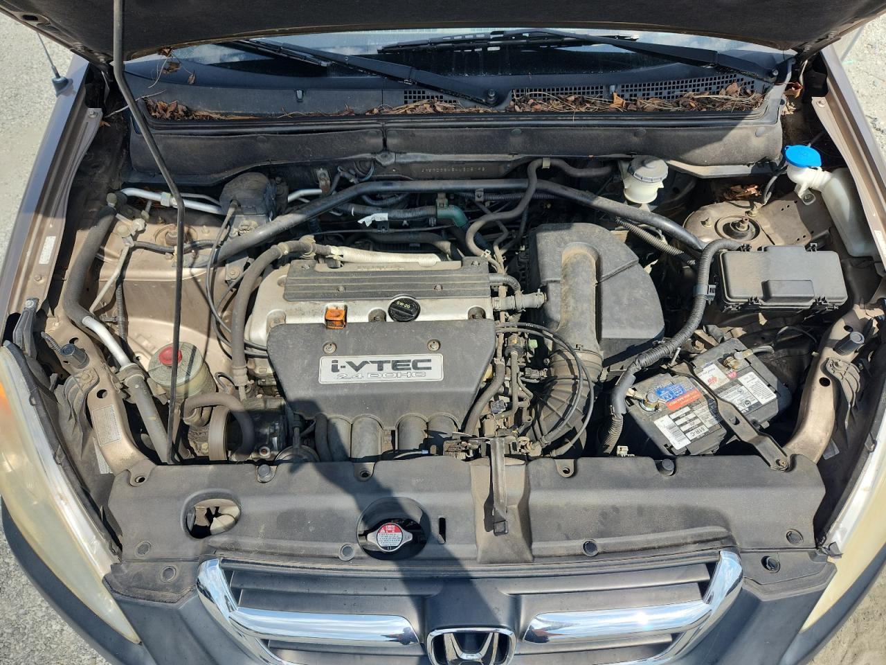 2004 Honda Cr-V Lx VIN: SHSRD68464U205196 Lot: 81794395