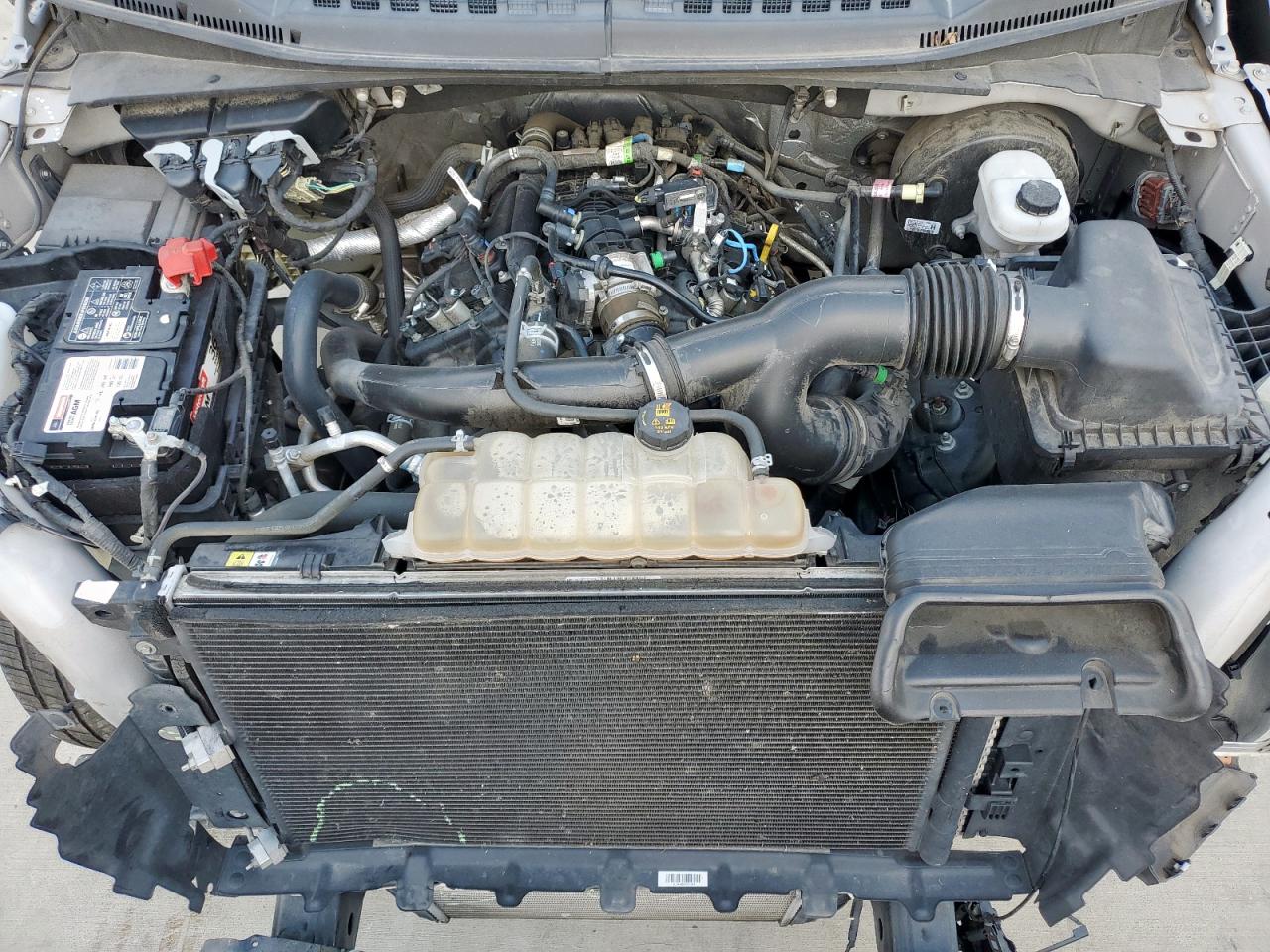 2019 Ford F150 Supercrew VIN: 1FTEW1CP0KKE91826 Lot: 80837795