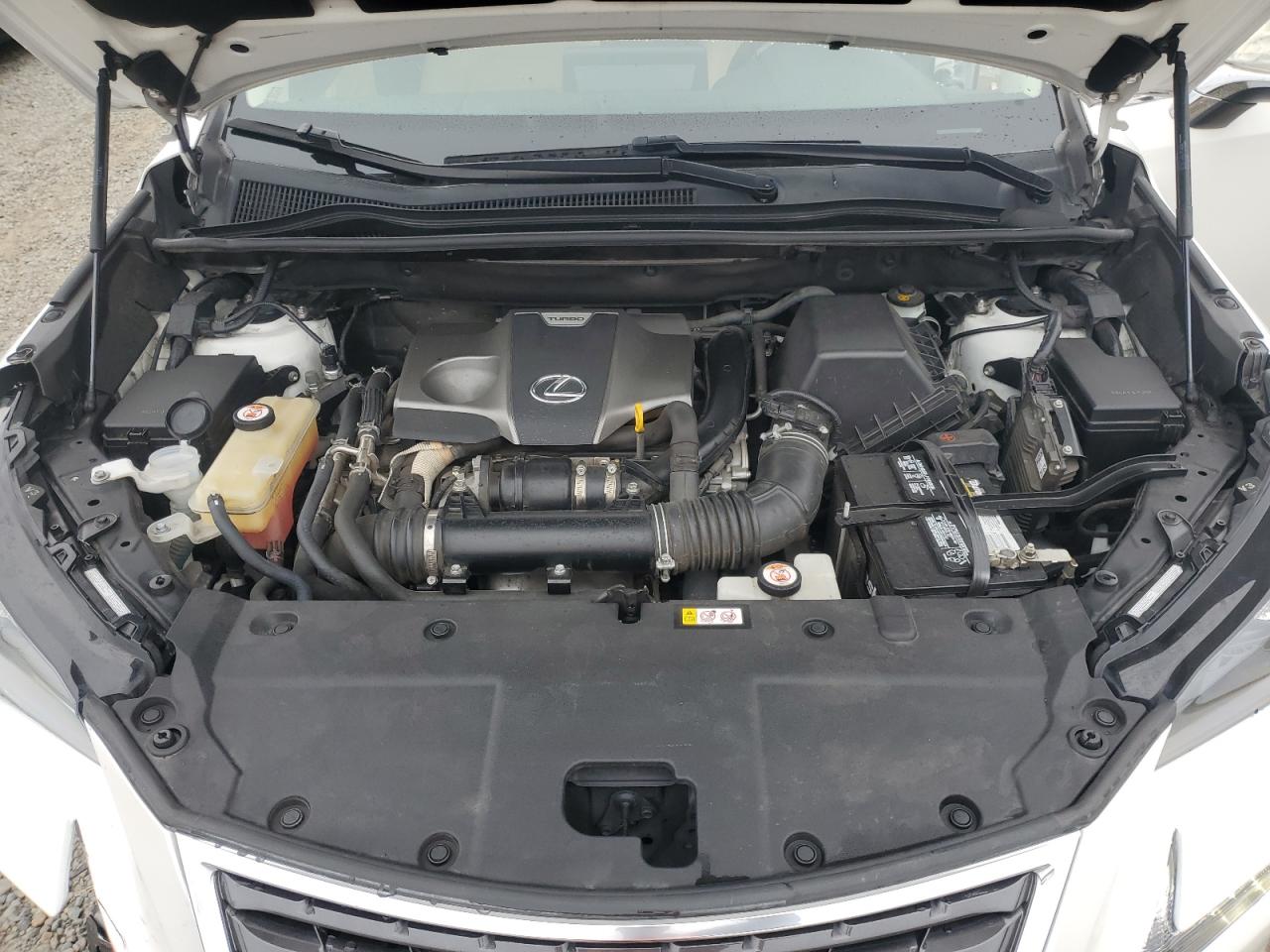 2020 Lexus Nx 300 VIN: JTJDARBZ8L5003439 Lot: 81848315