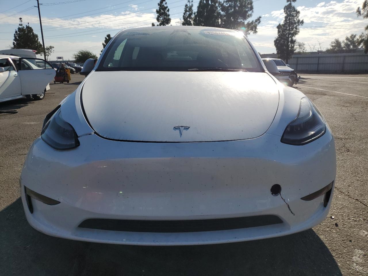2023 Tesla Model Y VIN: 7SAYGDEE8PF875593 Lot: 81567485