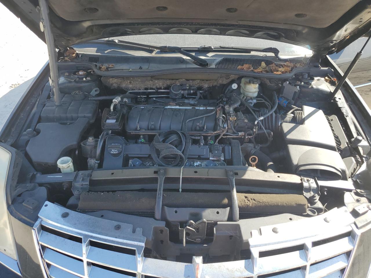 2010 Cadillac Dts Platinum VIN: 1G6KP5E9XAU120393 Lot: 81188705