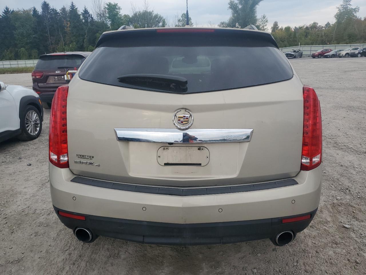 2010 Cadillac Srx Luxury Collection VIN: 3GYFNDEY7AS652510 Lot: 81413025