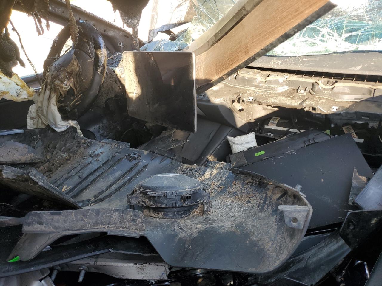 2025 Tesla Model Y VIN: 7SAYGDEE4SF289613 Lot: 81263555