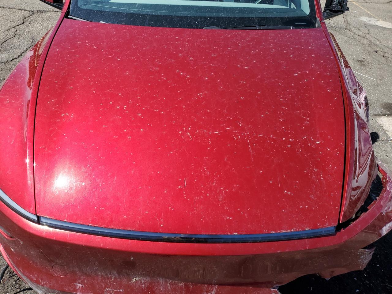 2026 Tesla Model Y VIN: 7SAYGDEE1TF399455 Lot: 71884255