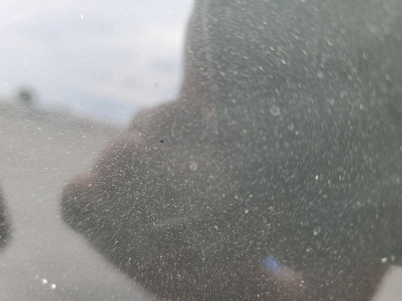 2025 Tesla Model Y VIN: 7SAYGDEFXSF230834 Lot: 81502805