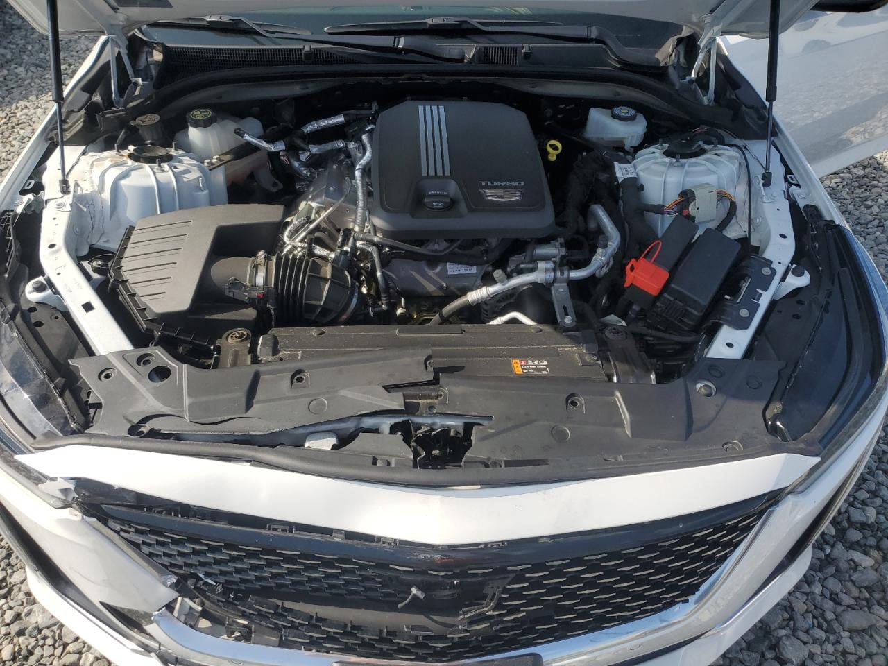 2023 Cadillac Ct5 Luxury VIN: 1G6DS5RKXP0136047 Lot: 71079845