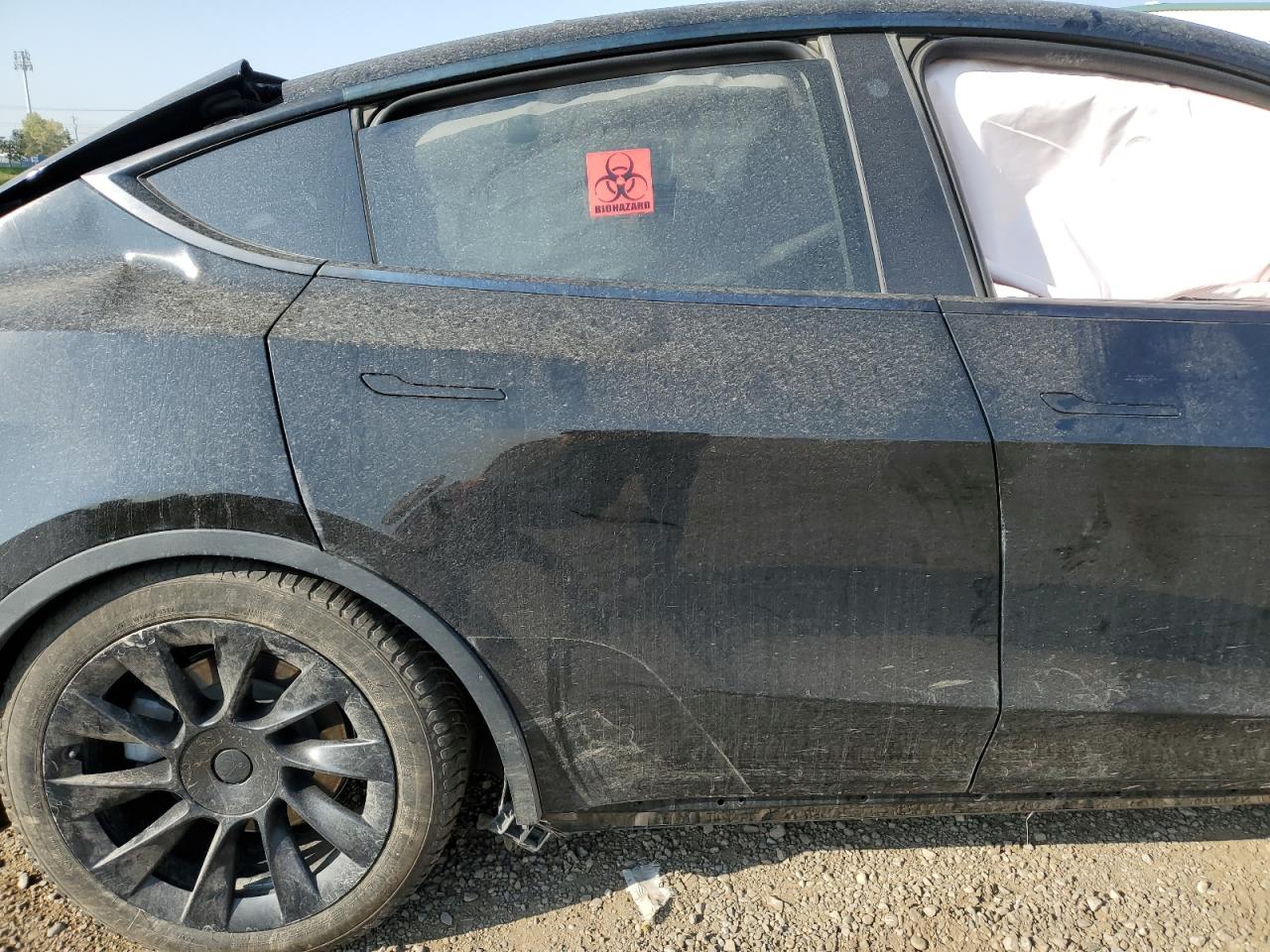 2022 Tesla Model Y VIN: 7SAYGDEE7NF572785 Lot: 80078685