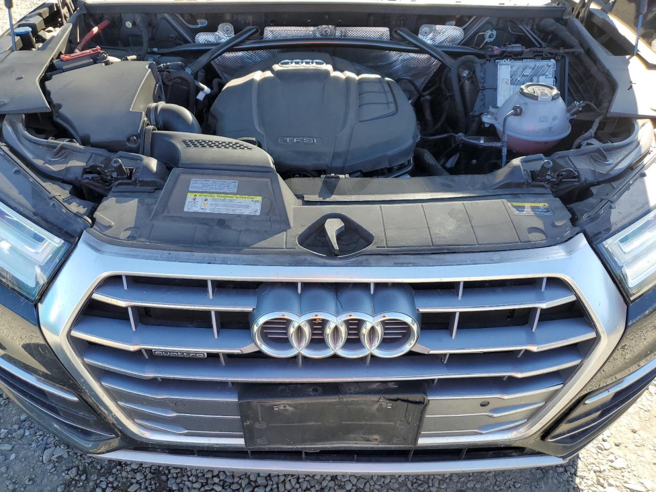 2019 Audi Q5 Premium Plus VIN: WA1BNAFY2K2110658 Lot: 81016775