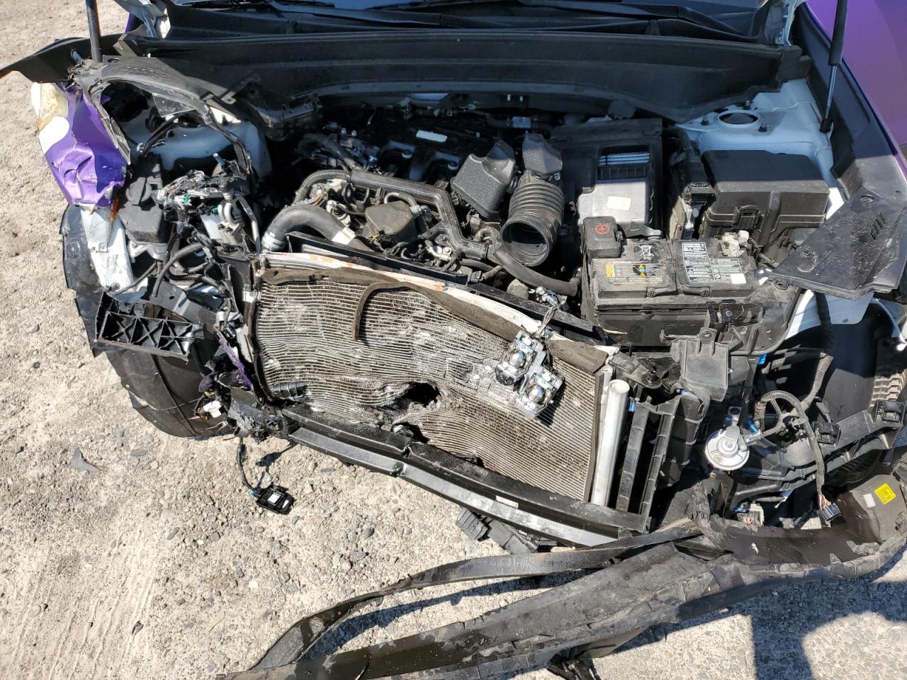 2023 Kia Telluride Sx VIN: 5XYP5DGC3PG363808 Lot: 71433525