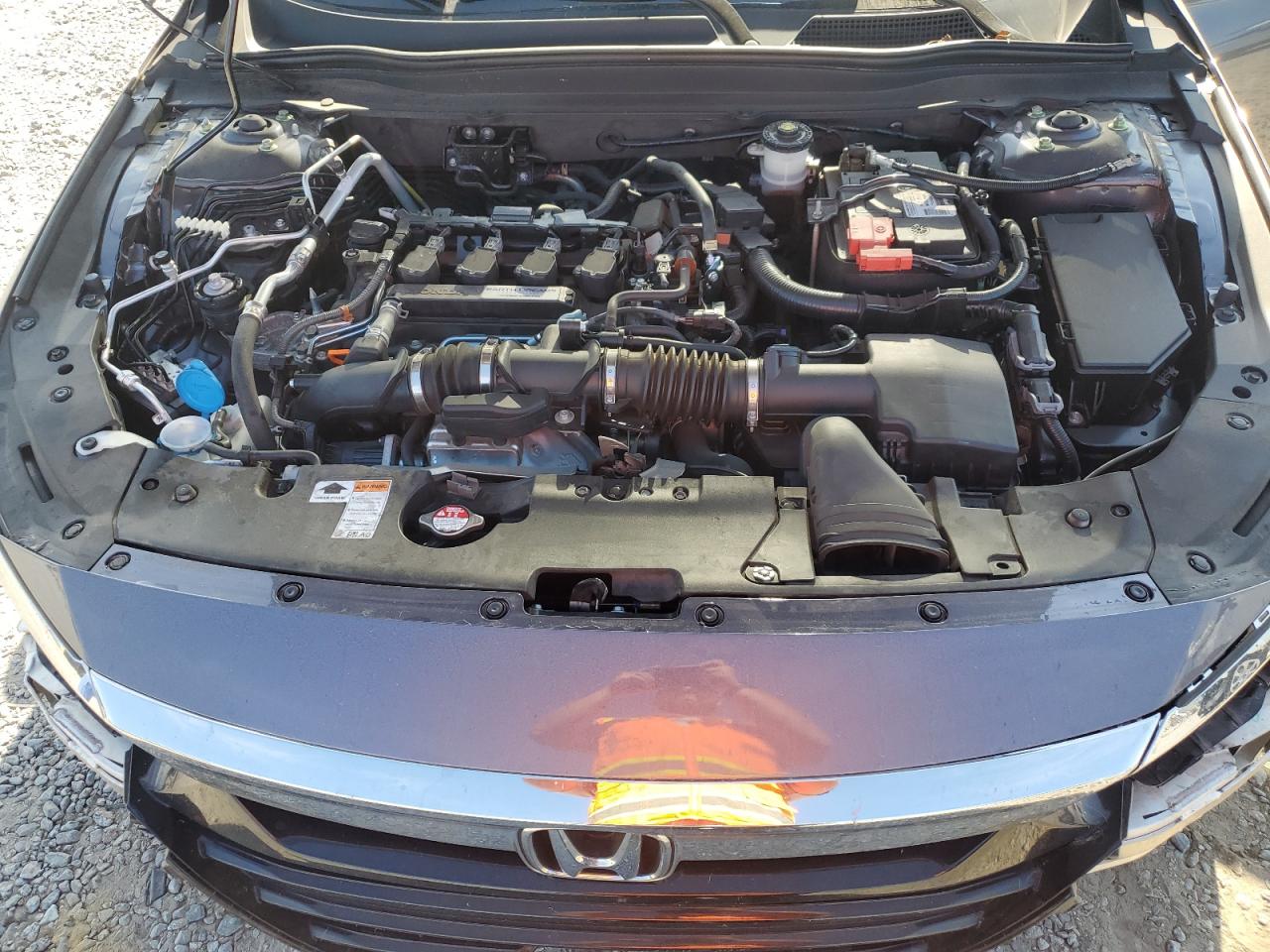 2018 Honda Accord Exl VIN: 1HGCV1F56JA142664 Lot: 81275485