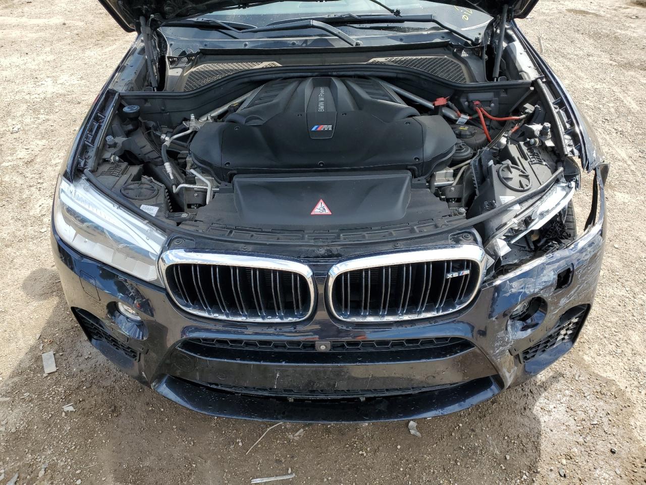 2016 BMW X6 M VIN: 5YMKW8C55G0R43824 Lot: 70419655