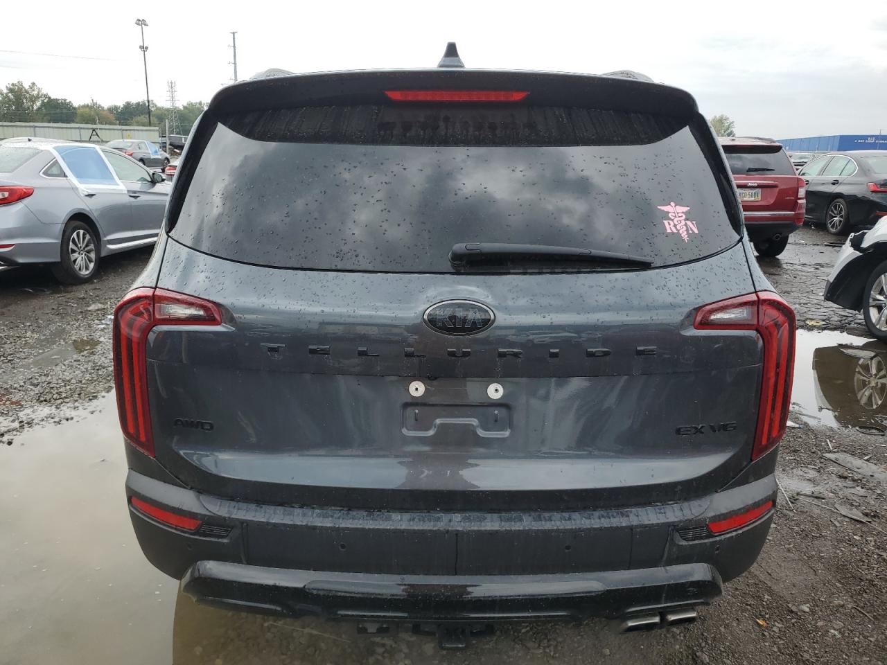 2021 Kia Telluride Ex VIN: 5XYP3DHC6MG193816 Lot: 81626275