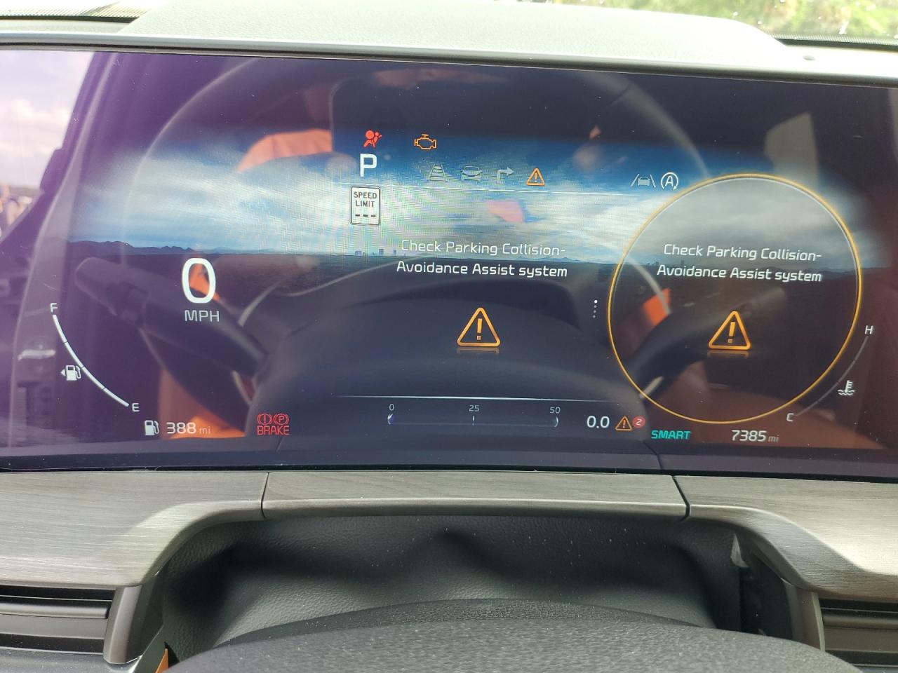 2025 Kia Telluride Sx VIN: 5XYP5DGC6SG596297 Lot: 71426265