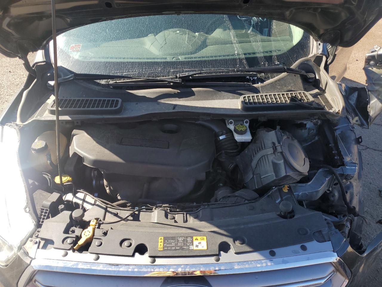 2017 Ford Escape Se VIN: 1FMCU9G94HUE22010 Lot: 80466245