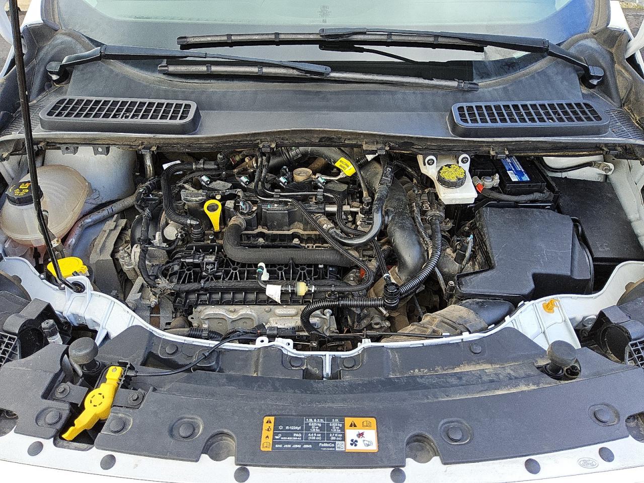 2019 Ford Escape Se VIN: 1FMCU9GD4KUA00864 Lot: 72080195