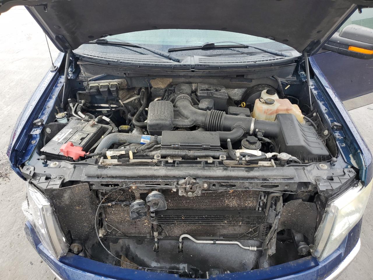 2009 Ford F150 Super Cab VIN: 1FTPX14V69FA33441 Lot: 81657795