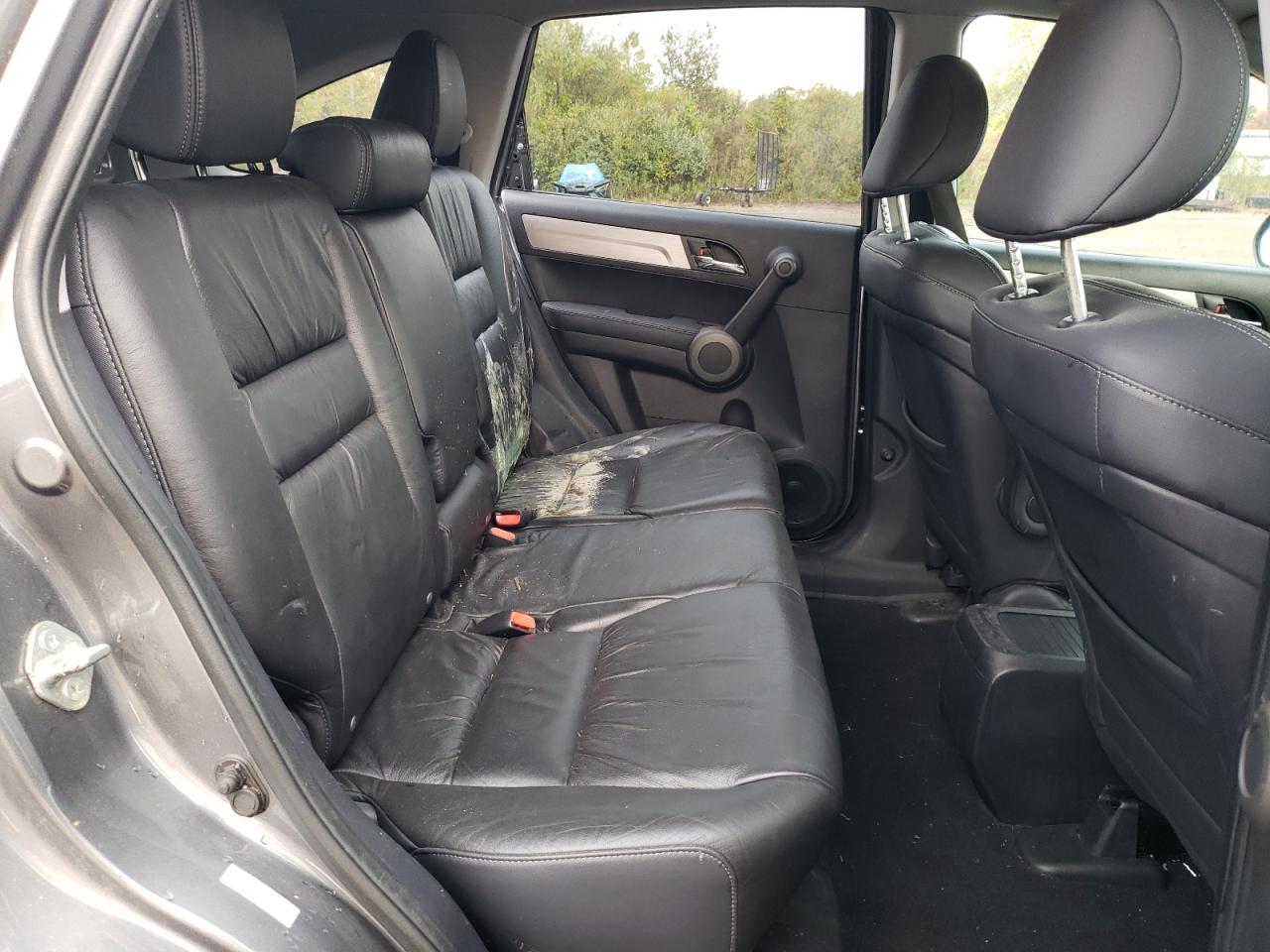 2010 Honda Cr-V Exl VIN: 5J6RE4H77AL031970 Lot: 81647785