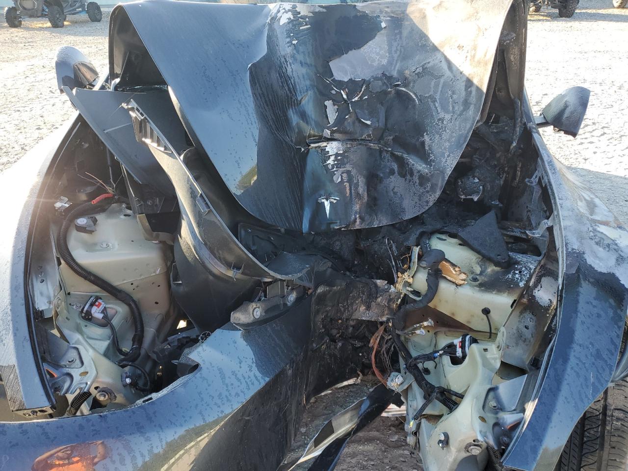 2025 Tesla Model Y VIN: 7SAYGDEE4SF289613 Lot: 81263555