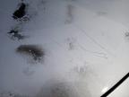 2014 NISSAN NOTE ACENTA PREMIUM  for sale at Copart WHITBURN