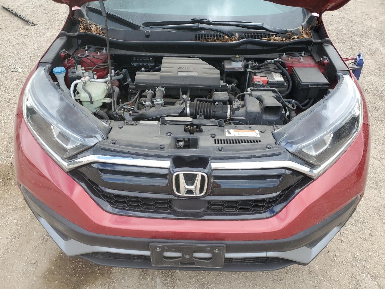 2020 Honda Cr-V Lx VIN: 5J6RW2H28LL004219 Lot: 70317415