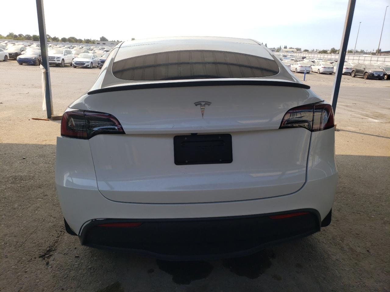 2024 Tesla Model Y VIN: 7SAYGDED2RF122734 Lot: 71327105