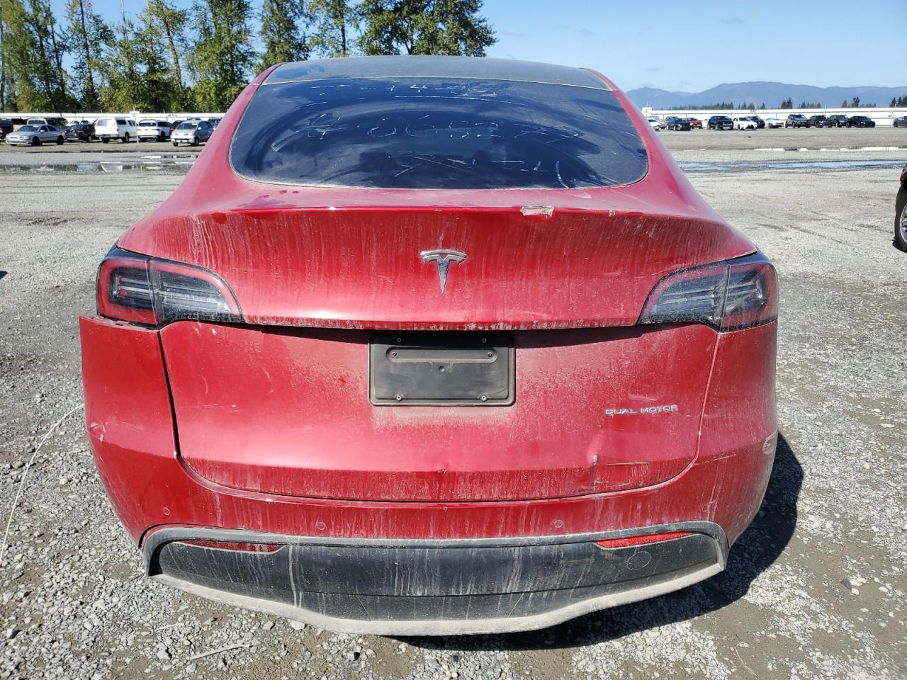 2022 Tesla Model Y VIN: 7SAYGAEE2NF427474 Lot: 81042025
