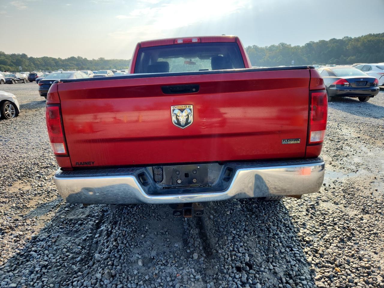 2010 Dodge Ram 1500 VIN: 1D7RB1GPXAS151398 Lot: 71207515