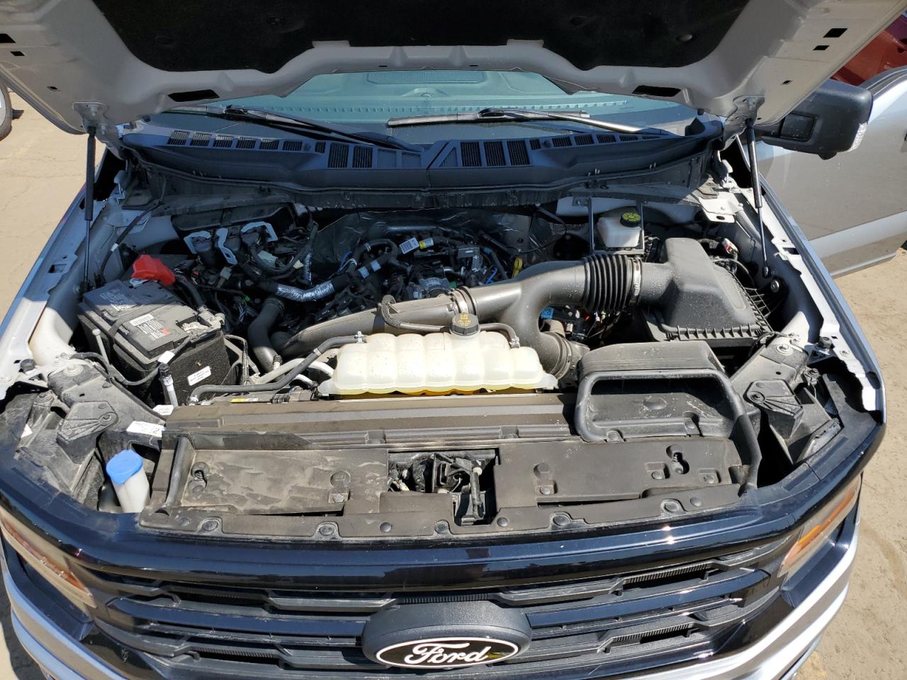 2024 Ford F150 Xlt VIN: 1FTEW3LP6RKE07871 Lot: 72000475