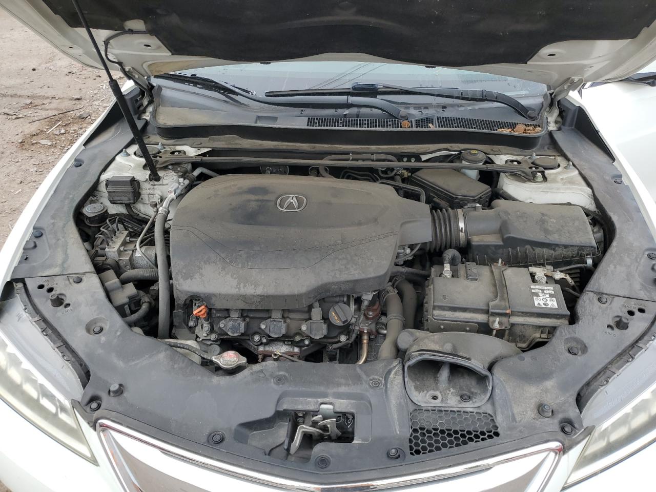 2015 Acura Tlx Tech VIN: 19UUB3F56FA009533 Lot: 81879415