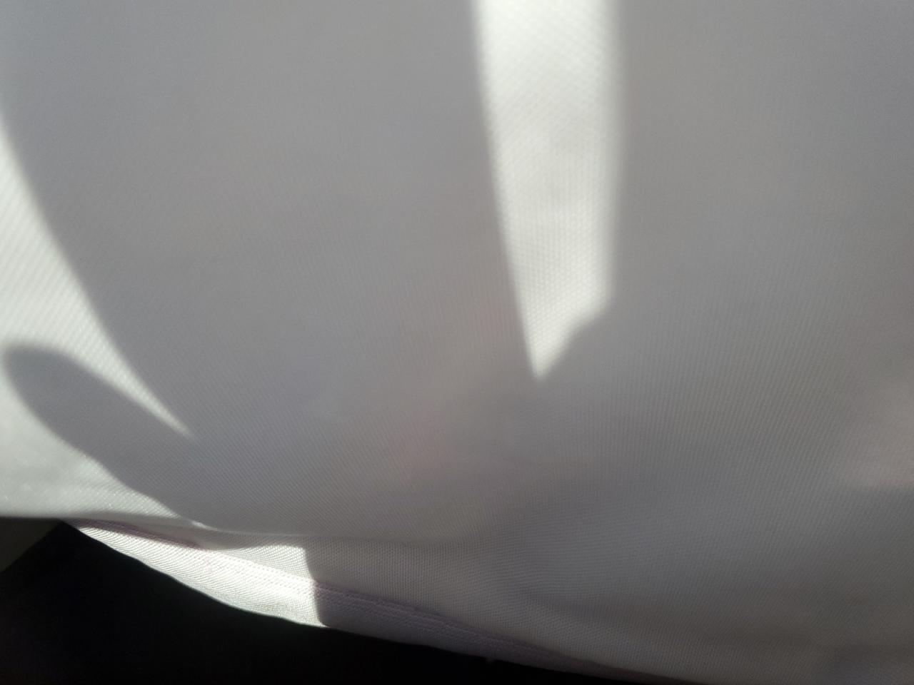 2023 Tesla Model Y VIN: 7SAYGDEEXPA130647 Lot: 81723775