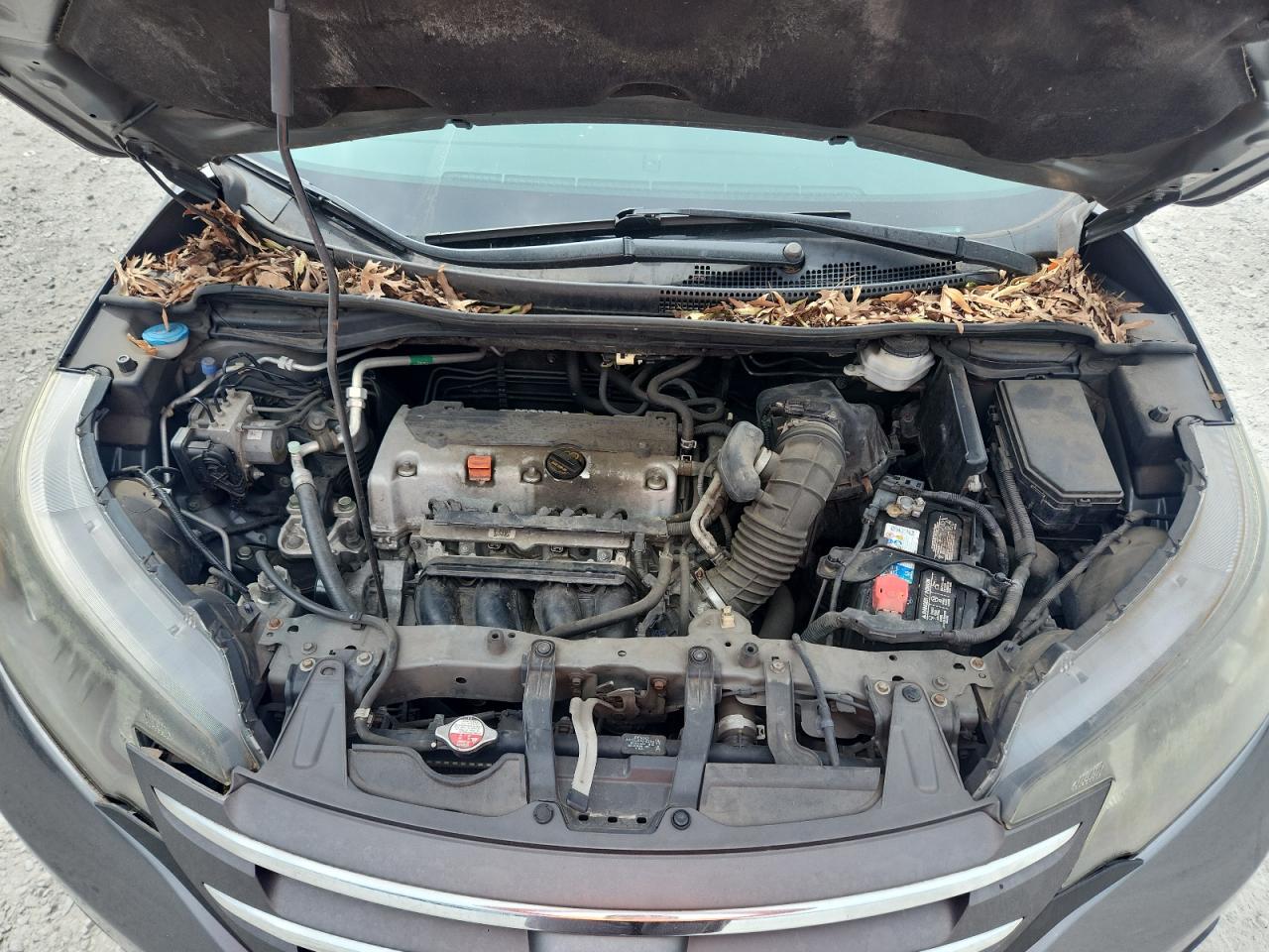 2014 Honda Cr-V Ex VIN: 2HKRM4H5XEH608914 Lot: 84186045