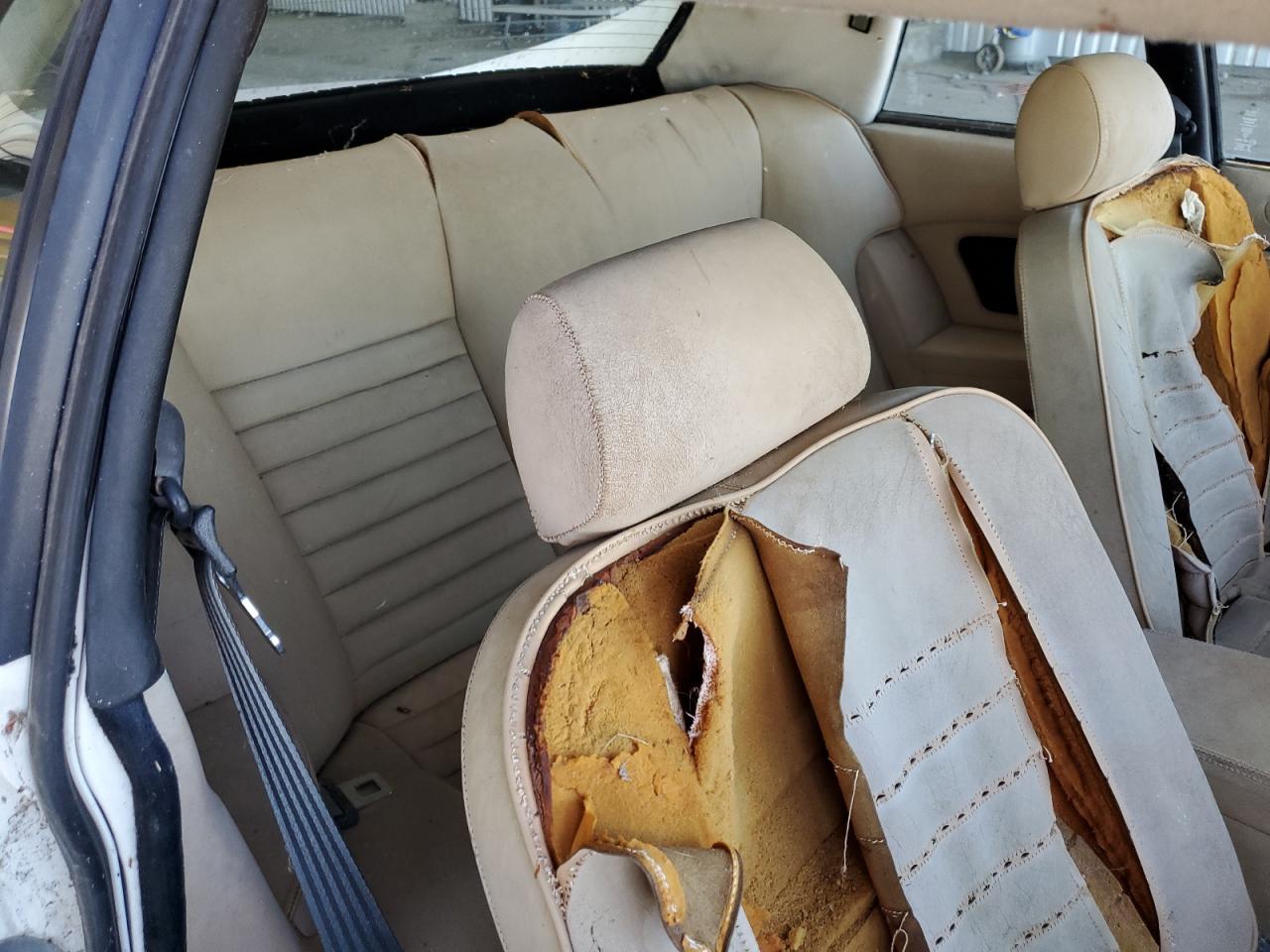 1984 Jaguar Xj-S VIN: SAJNV5845EC113297 Lot: 71306185