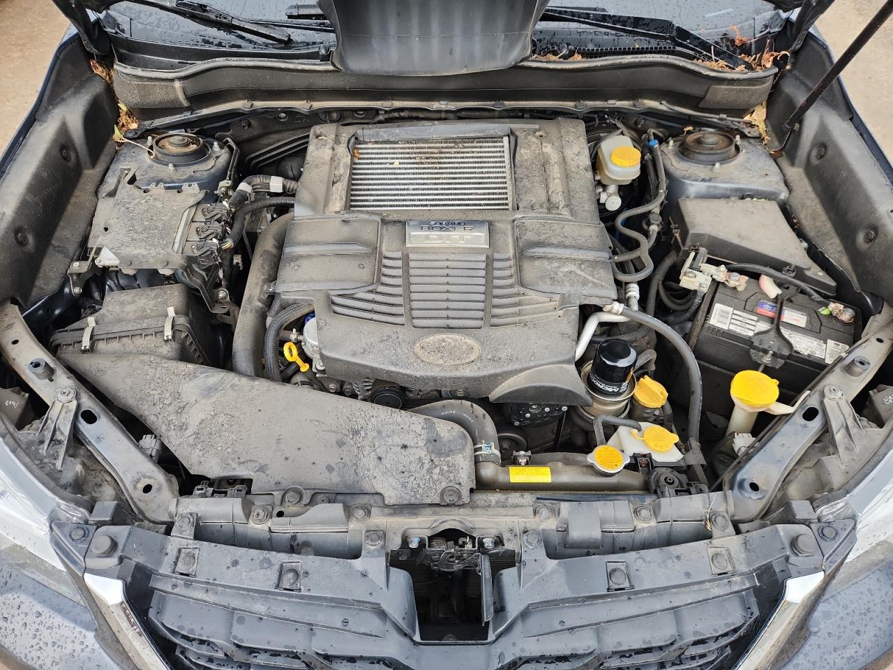 2017 Subaru Forester 2.0Xt Premium VIN: JF2SJGEC5HH501773 Lot: 81034415