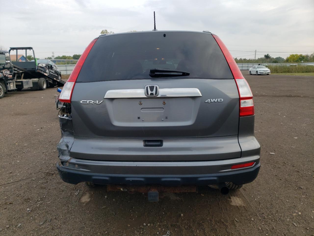 2010 Honda Cr-V Exl VIN: 5J6RE4H77AL031970 Lot: 81647785