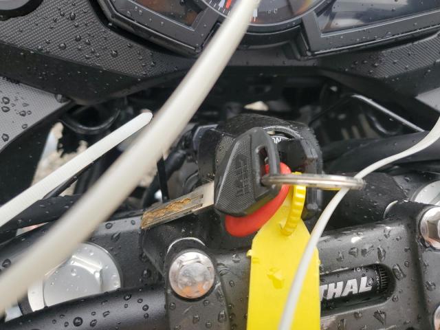 2020 KAWASAKI KLE300 B  