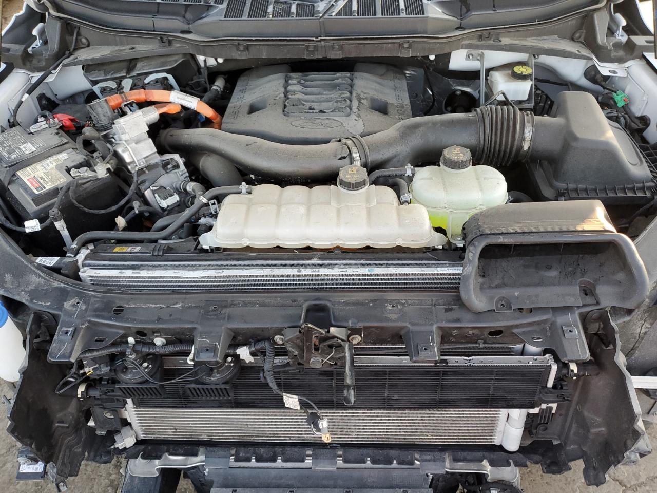 2023 Ford F150 Supercrew VIN: 1FTFW1ED7PFC85958 Lot: 81893655