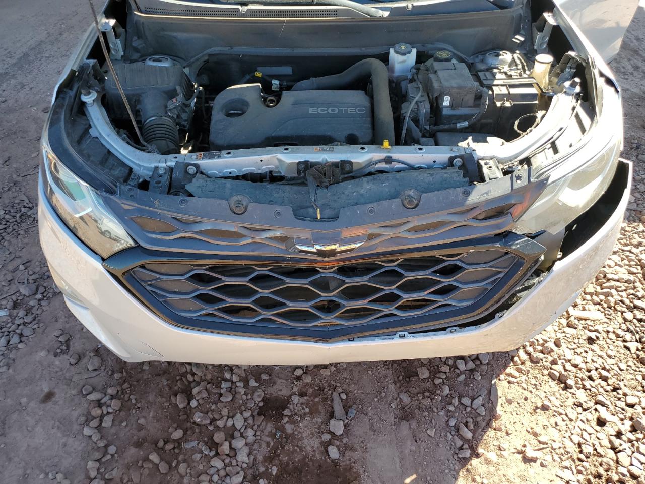 2019 Chevrolet Equinox Ls VIN: 2GNAXHEV7K6216271 Lot: 83746745