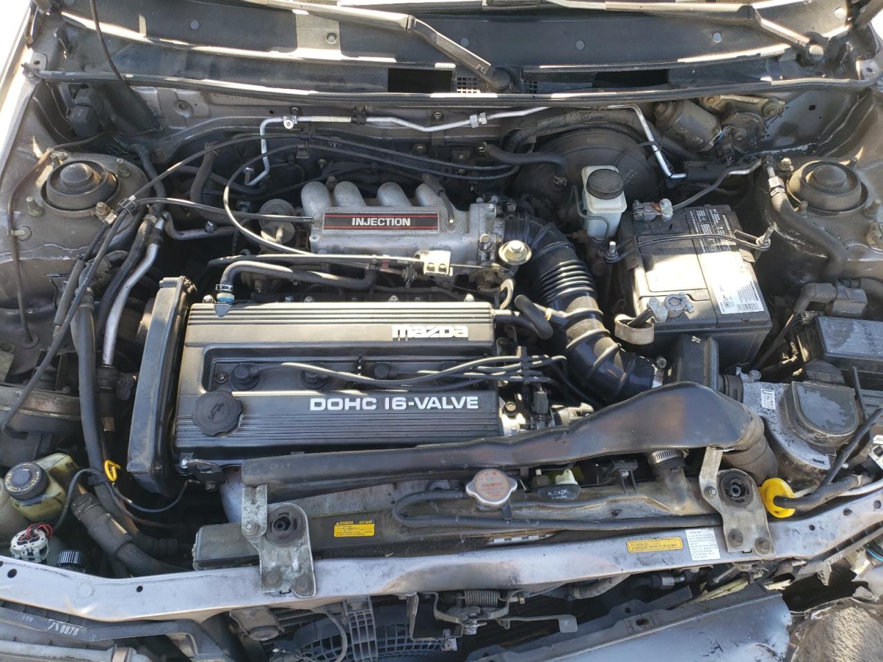 1991 Mazda Protege Lx VIN: JM1BG2266M0290803 Lot: 81856185