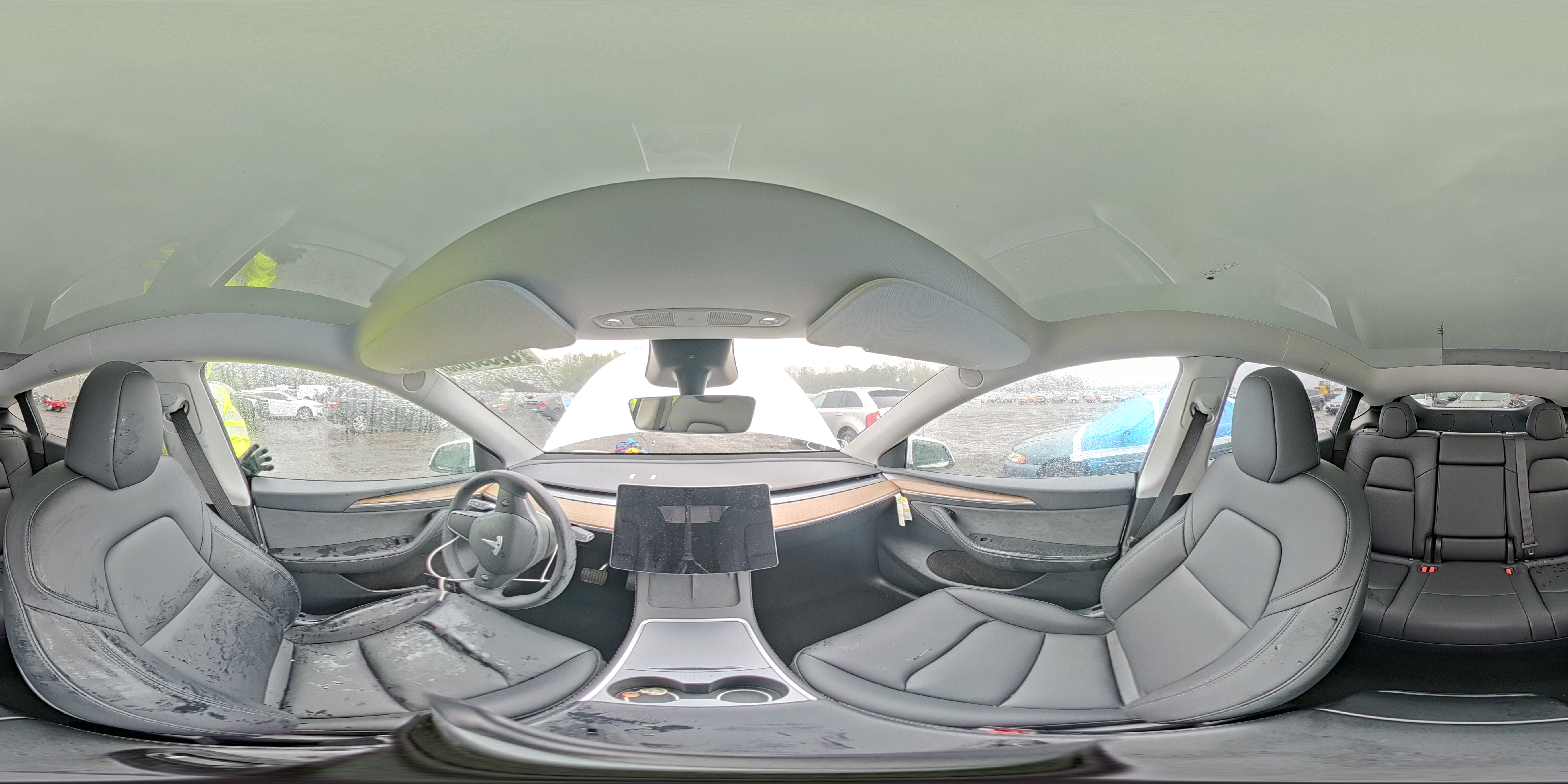 2024 Tesla Model Y VIN: 7SAYGDED2RF155524 Lot: 81388725