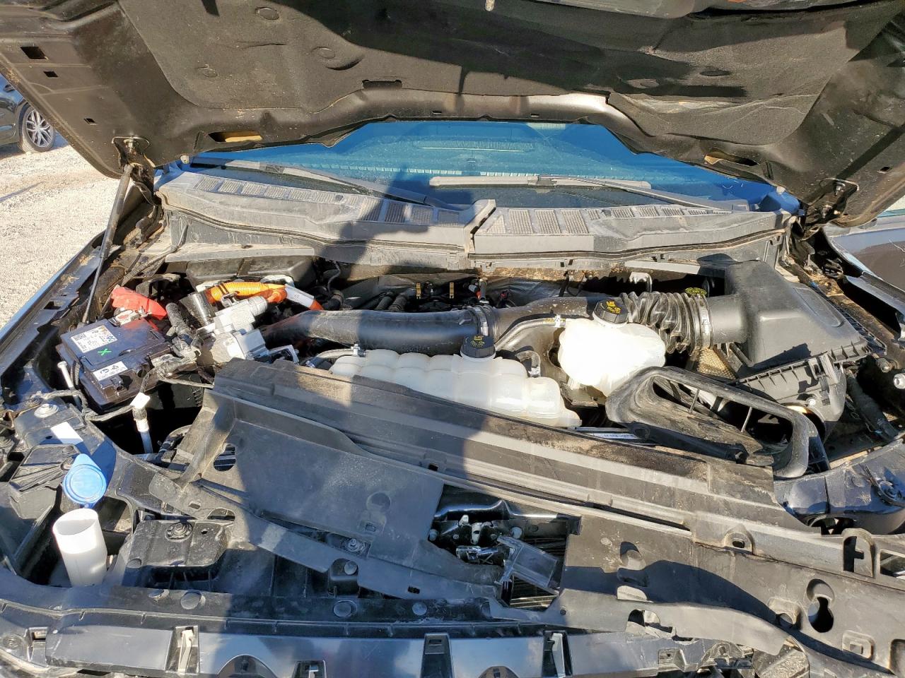 2024 Ford F150 Xlt VIN: 1FTFW3LD2RFA86138 Lot: 81646135