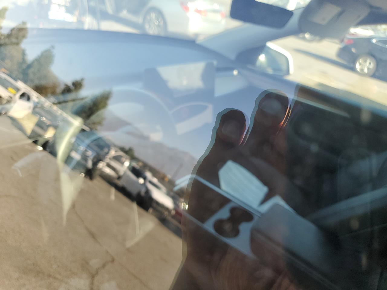 2023 Tesla Model Y VIN: 7SAYGDEE8PF875593 Lot: 81567485