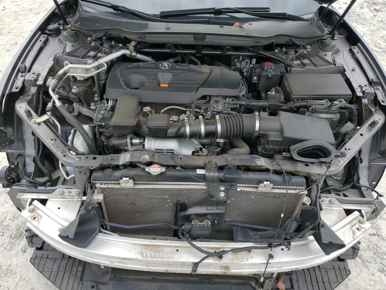 2021 Acura Tlx VIN: 19UUB5F30MA010023 Lot: 81903645