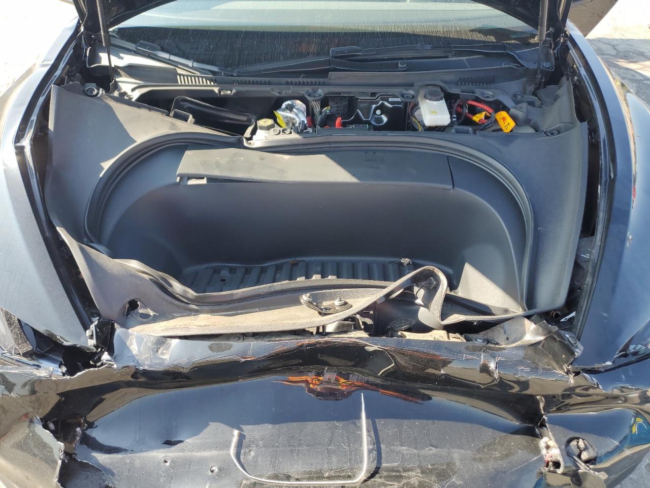 2024 Tesla Model 3 VIN: 5YJ3E1EA4RF736251 Lot: 80406695