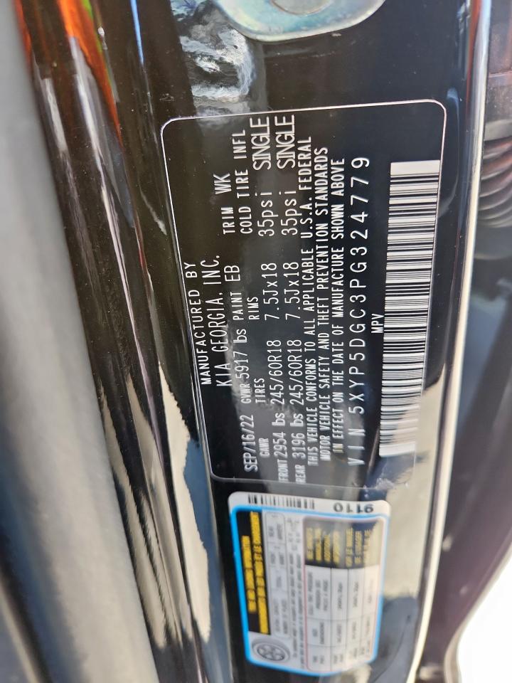 2023 Kia Telluride Sx VIN: 5XYP5DGC3PG324779 Lot: 81826975