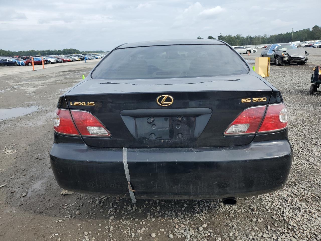2002 Lexus Es 300 VIN: JTHBF30G025028374 Lot: 81945225