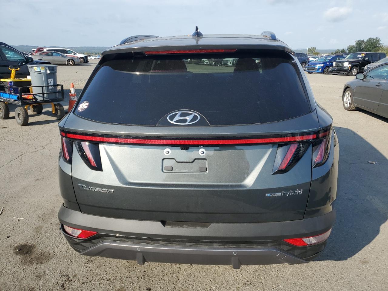 2024 Hyundai Tucson Limited VIN: KM8JECD10RU239060 Lot: 81494205