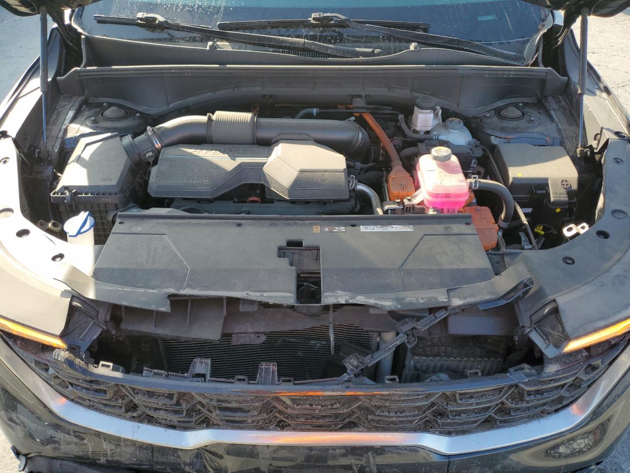 2025 Kia Sorento Ex VIN: KNDRH4JG1S5305998 Lot: 80887125