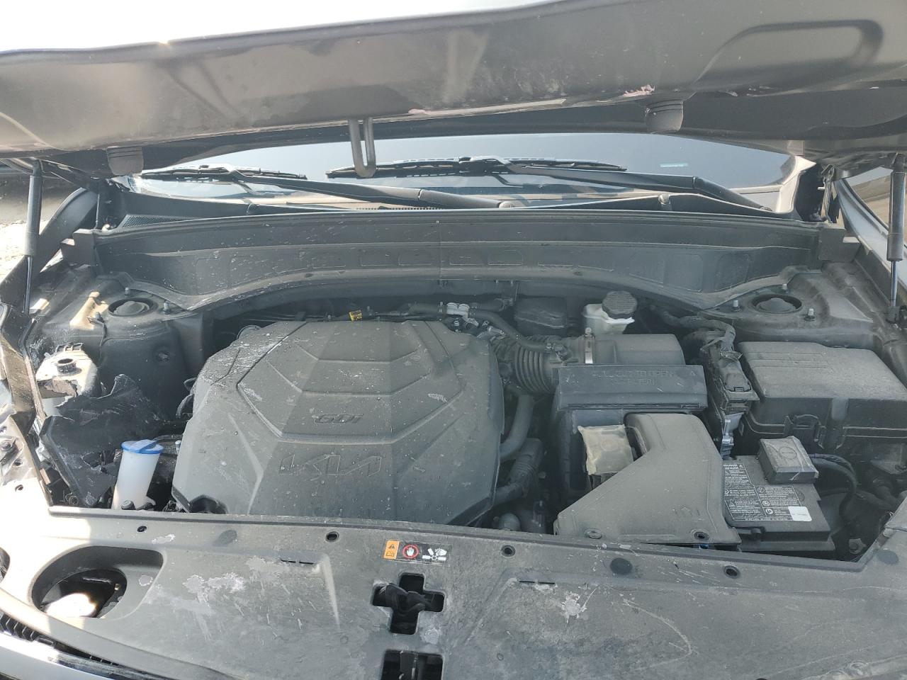 2024 Kia Telluride Ex VIN: 5XYP3DGC0RG477208 Lot: 71808405