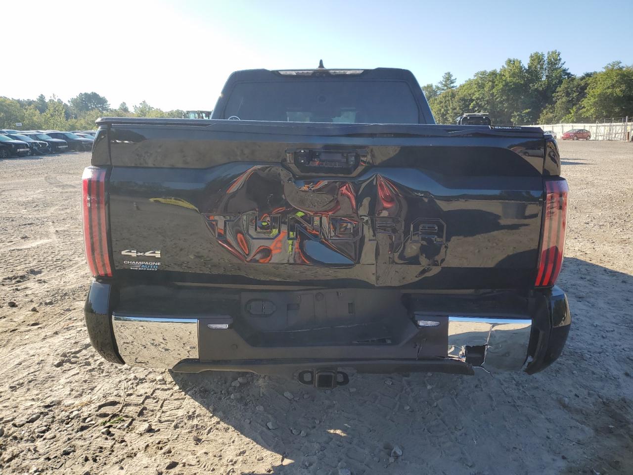2023 Toyota Tundra Crewmax Platinum VIN: 5TFMA5DB9PX123045 Lot: 71551615
